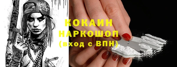 индика Одинцово