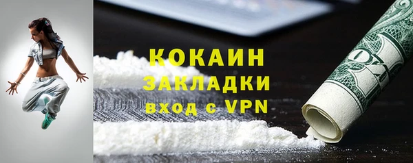 стаф Магас