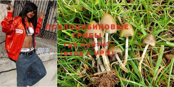 стаф Волгодонск