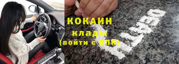 прущие грибы Магадан