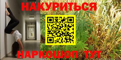 шишки Бузулук