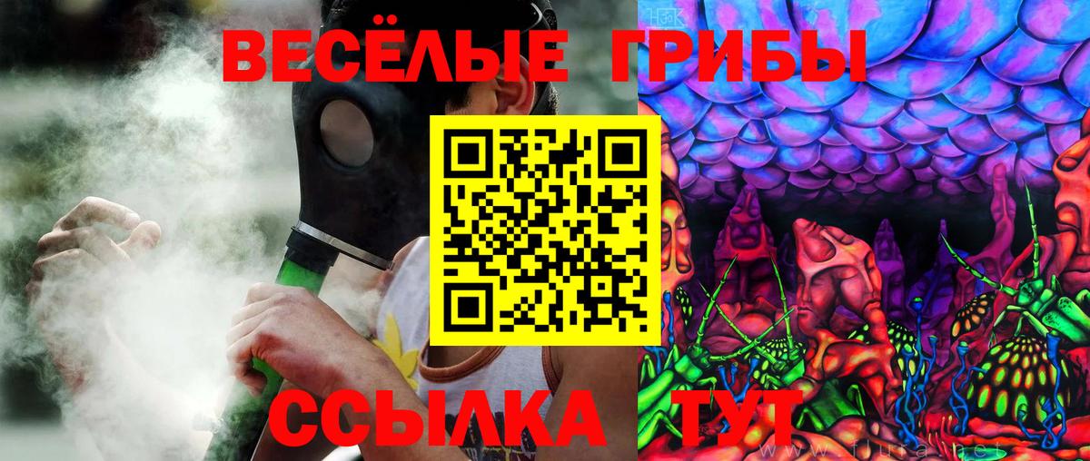 Дивногорск  Галлюциногенные грибы мицелий  Галлюциногенные грибы Cubensis  как найти закладки  Вход с VPN 