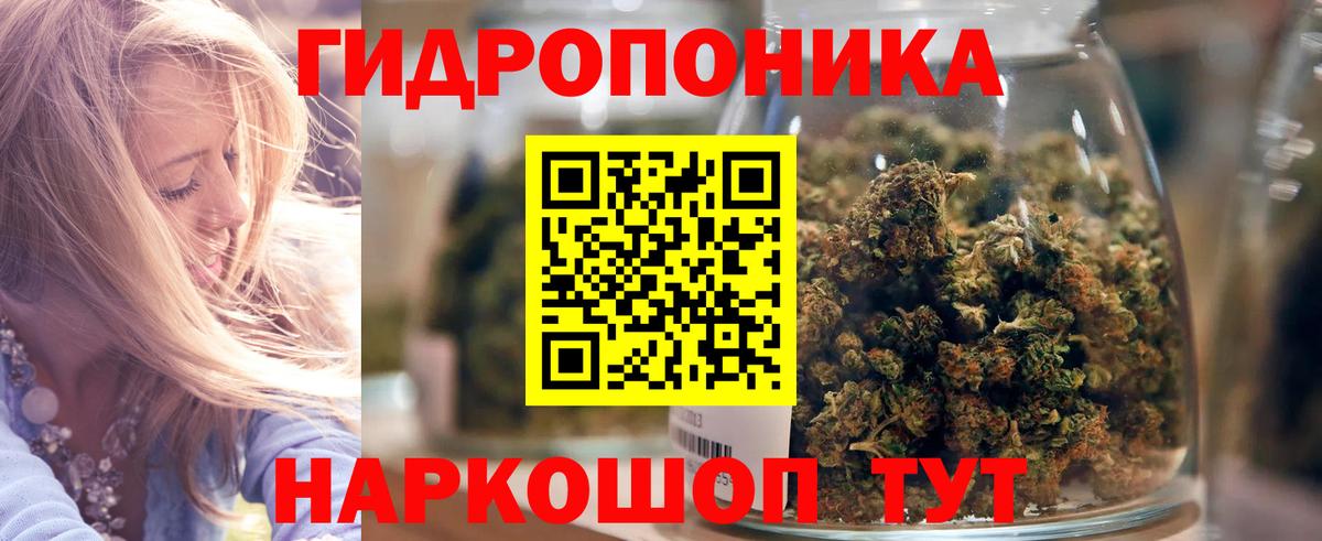 Канабис сатива Дивногорск